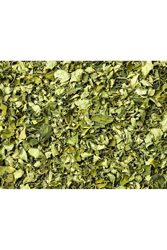 Kurutulmuş Moringa Yaprağı Çayı - 100 gr