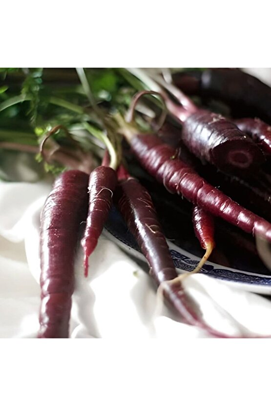 Kara Havuç Tohumu - 3000 adet yerli ata tohum - Yerli Doğal Kara Şalgam Mor Havuç