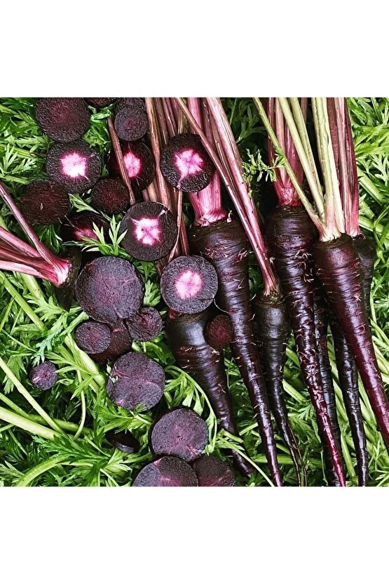 Kara Havuç Tohumu - 3000 adet yerli ata tohum - Yerli Doğal Kara Şalgam Mor Havuç