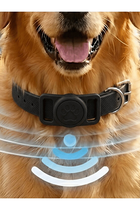 Boş Airtag Yuvalı Kedi Köpek Tasması Evcil Hayvan Pet Takip Cihazı Silikon Yaka Kılıfı Şık Tasarım