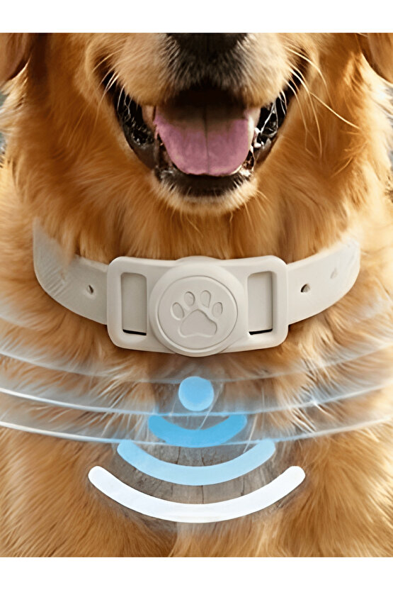 Boş Airtag Yuvalı Kedi Köpek Tasması Evcil Hayvan Pet Takip Cihazı Silikon Yaka Kılıfı Şık Tasarım