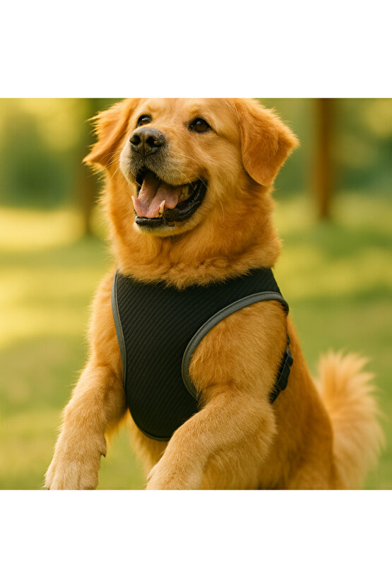 S-M-L Yıkanabilir Mesh Fileli Göğüs Tasması Nefes Alabilir Terletmez Dayanıklı Klipslı Cırtlı Tasma