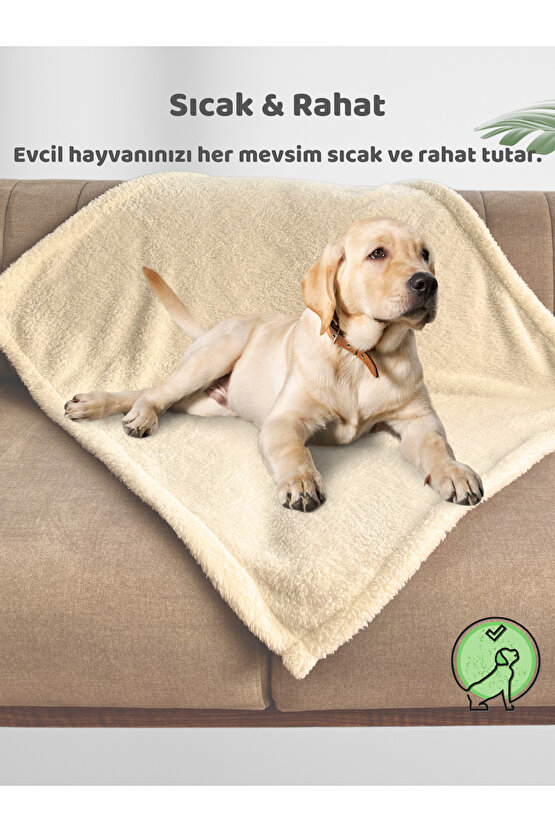 Beylini Kedi Köpek Battaniyesi Premium Peluş Evcil Hayvan Uyku Battaniyesi Yıkanabilir Krem