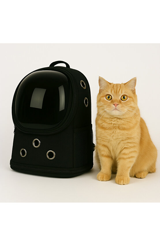 Yıkanabilir Şeffaf Kedi ve Köpek Taşıma Çantası 7 Hava Kanalı Fileli Ceplerle Pratik Kullanım Siyah