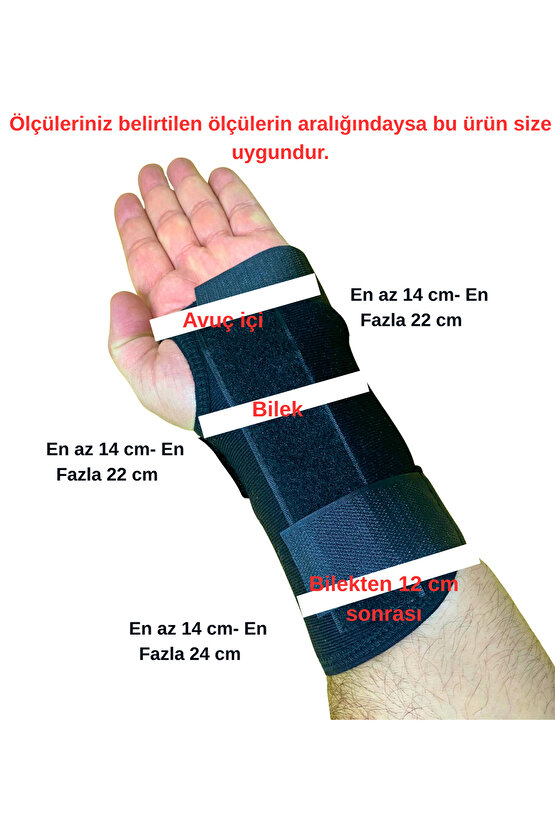 Statik El Bilek Ateli