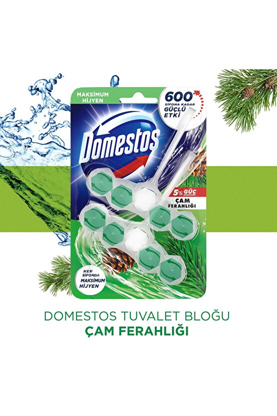 WC Blok 5li Güç Çam Ferahlığı 600 Sifona Kadar Güçlü Temizlik 110 GR İkili Paket