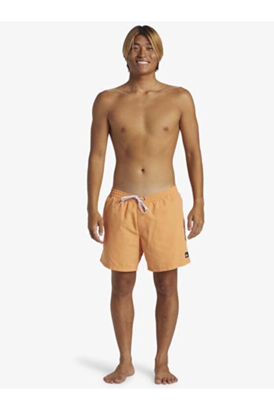 Everyday Solid Volley 15 Erkek Deniz Şortu-AQYJV03153