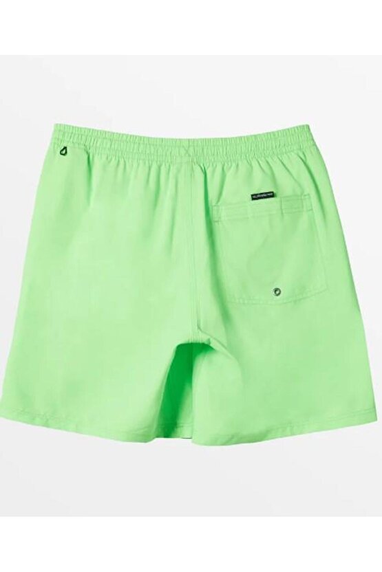 EVERYDAY SOLID VOLLEY 15 ERKEK ŞORT