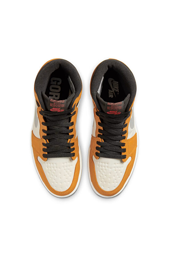 Air Jordan 1 Element Gore-Tex Erkek Sneaker