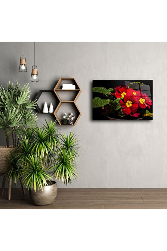 Kırmızı Primula Çiçekli Cam Tablo