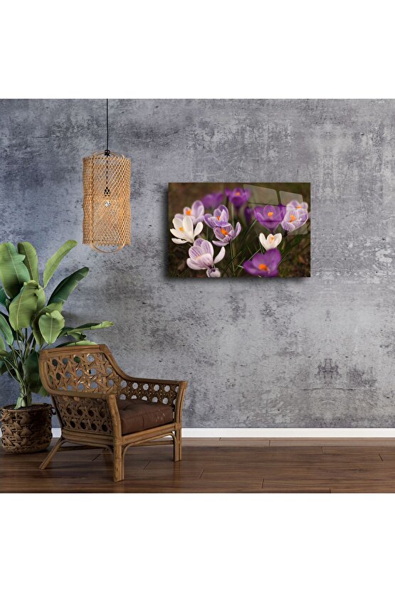 Mor Beyaz Krokus Çiçekli Cam Tablo