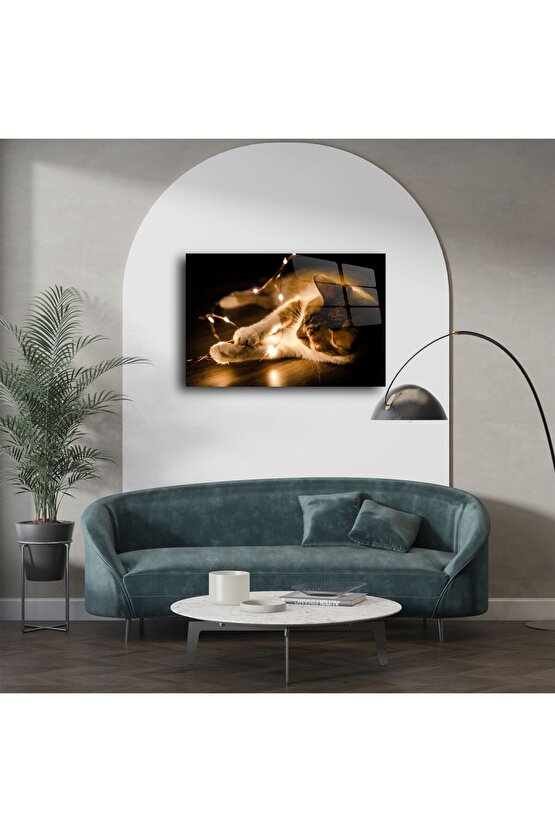 Işıklarla Oynayan Kedi Cam Tablo