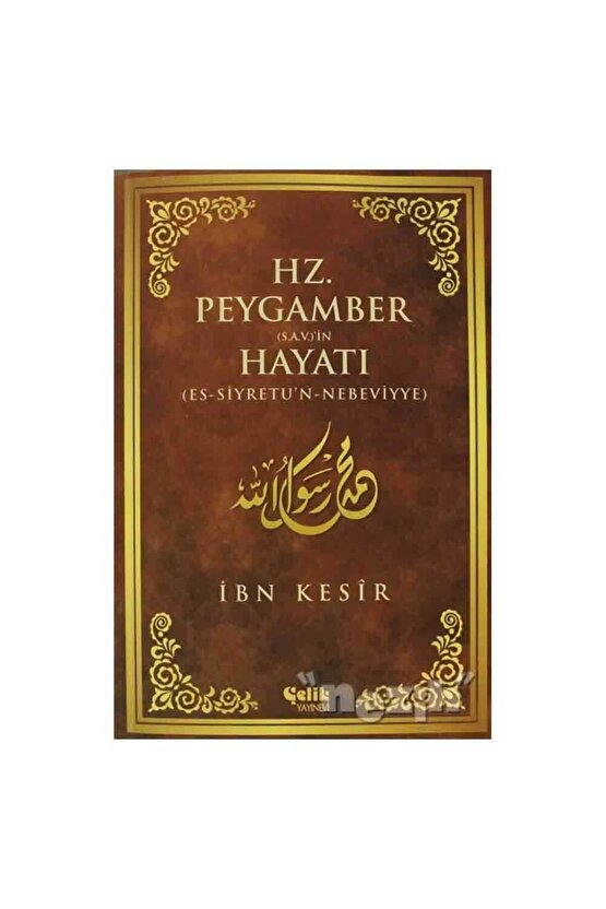 Hz. Peygamber (S.A.V.)’in Hayatı