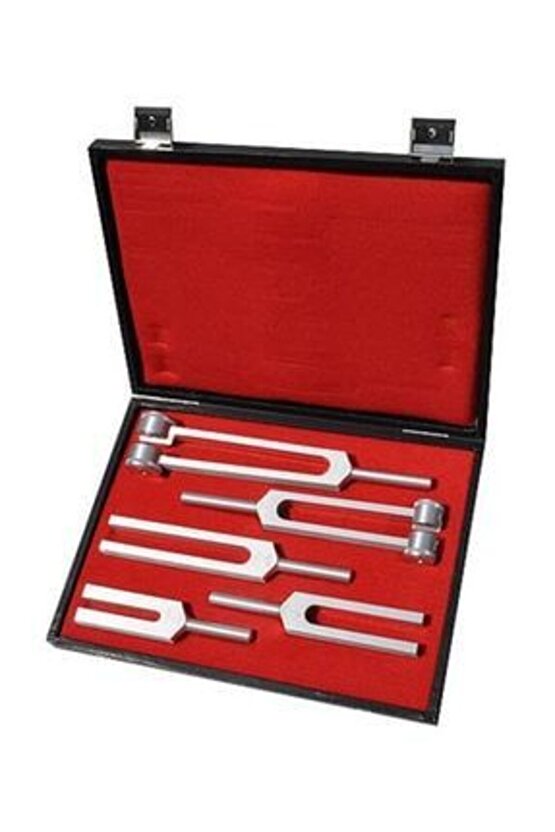 Fork 5li SetSh5116 Diapozon Tuning