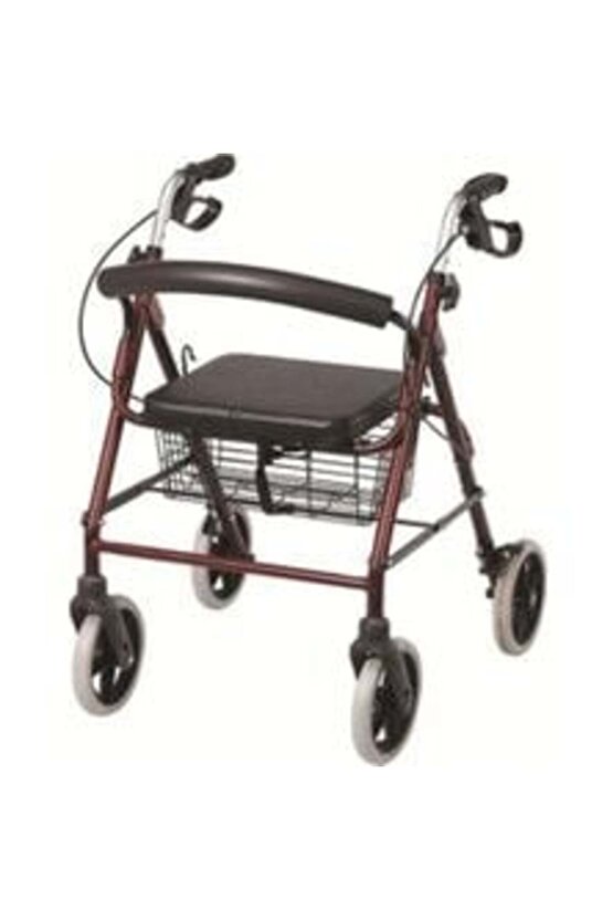 Ekonomik ROLLATÖRMP580