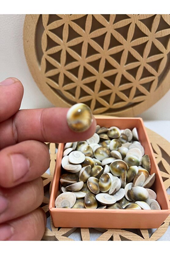 Yılancık taşı 3 adet