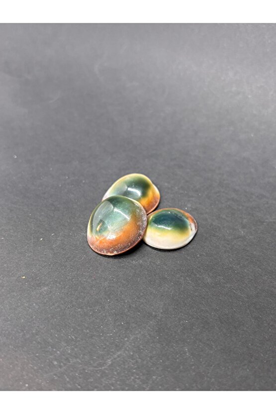 FİLİPİNLER YEŞİL YILANCIK-3 ADET