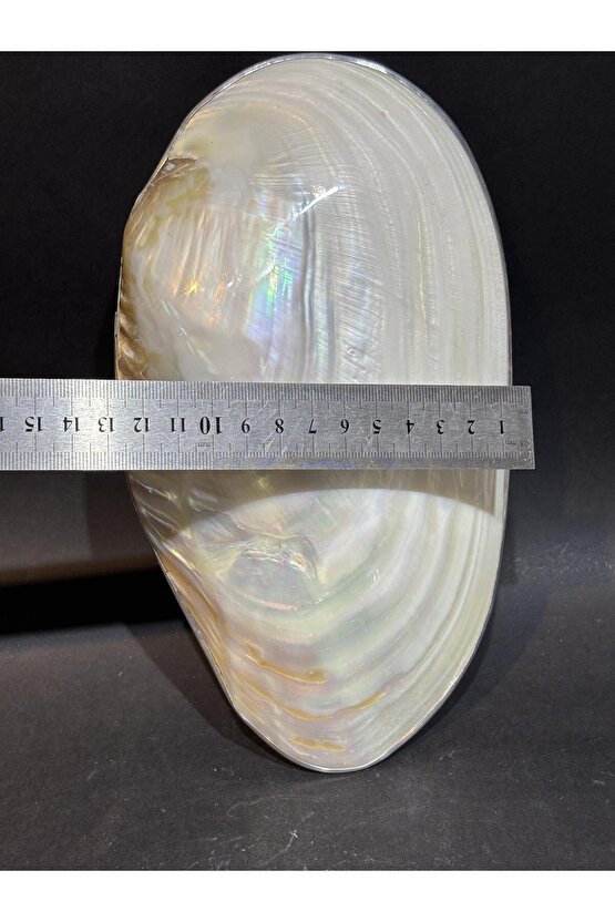 KABUK XXL GÜMÜŞ ÇERÇEVELİ