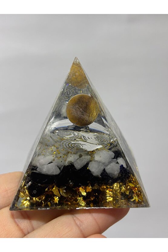 KAPLANGÖZÜ TRİSKELE SEMBOLLÜ YAŞAM DÖNGÜSÜ ORGONİT