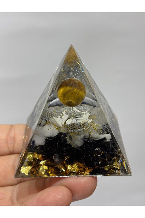 KAPLANGÖZÜ TRİSKELE SEMBOLLÜ YAŞAM DÖNGÜSÜ ORGONİT