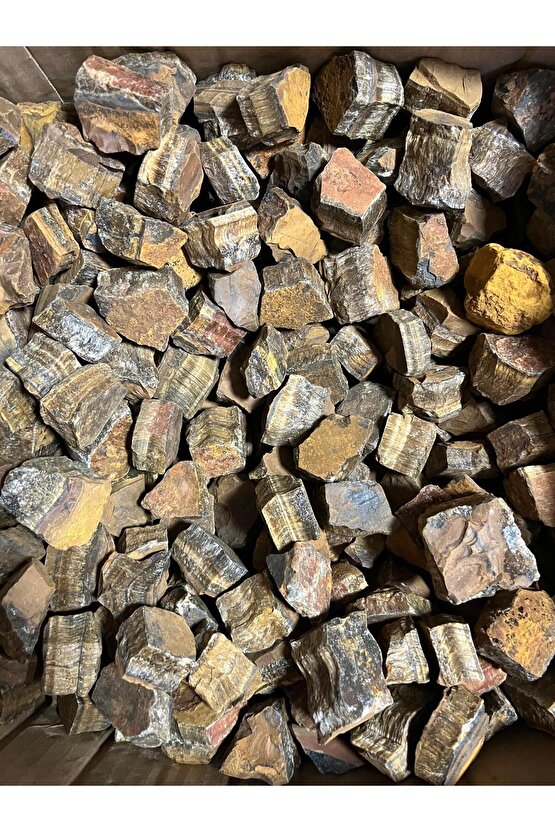 KAPLAN GÖZÜ HAMKAYA