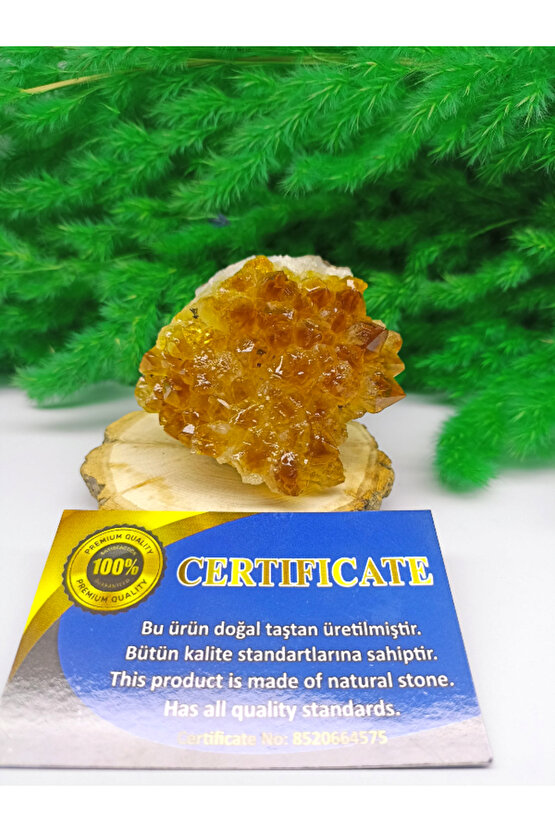 SİTRİN DOĞAL TAŞ STANDLI (SERTİFİKALI)(230 GRAM)