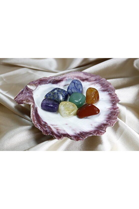 Doğal Istiridye Deniz Kabuğu Ve Işlenmemiş Doğal Çakra Taşları