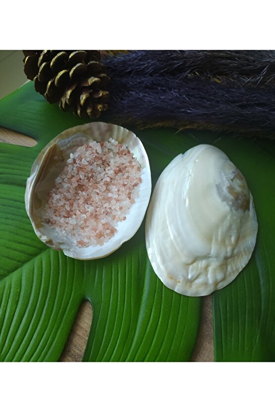 Deniz Kabuğu (MAKABE) Tütsülük