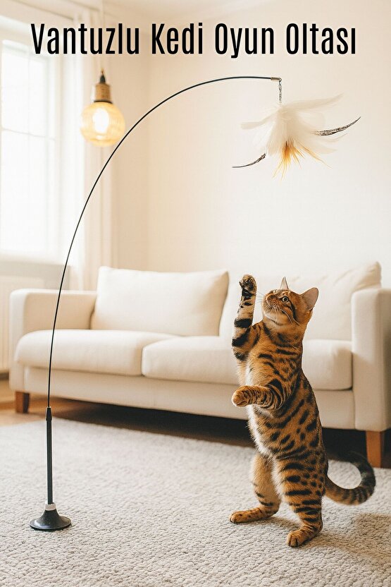 Vantuzlu Kedi Oyun Oltası – Tüy Toplu Kedi Eğlence Oyuncağı
