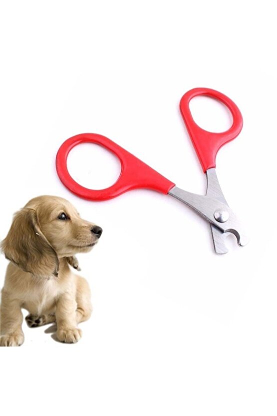 Kedi Mini Irk Köpek Evcil Hayvan Tırnak Makası Düzeltme Kesme Mini Irk Köpek Tırnak Makası