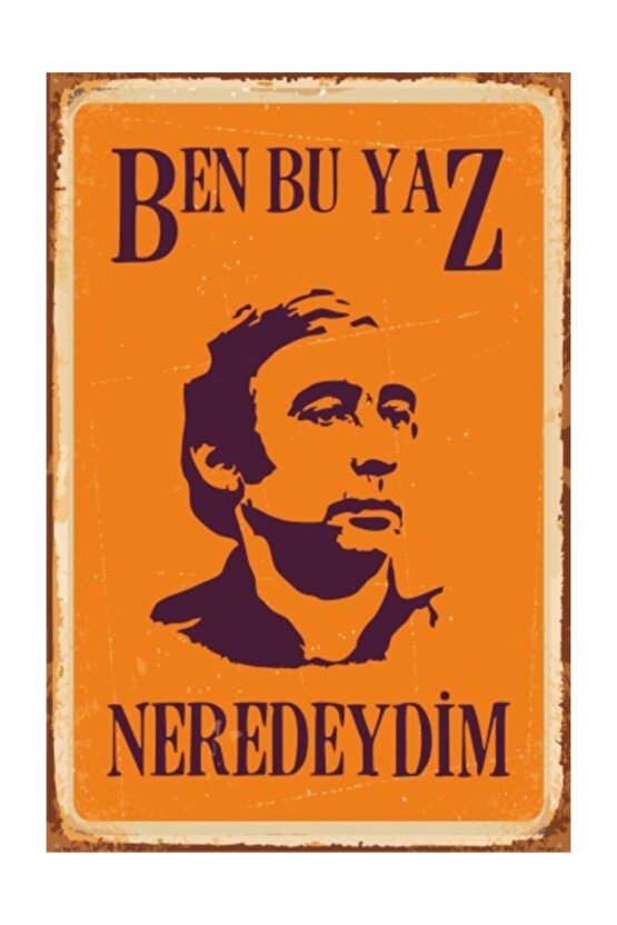 Ben Bu Yaz Neredeydim Şener Şen Yeşilçam Retro Vintage Ahşap Poster