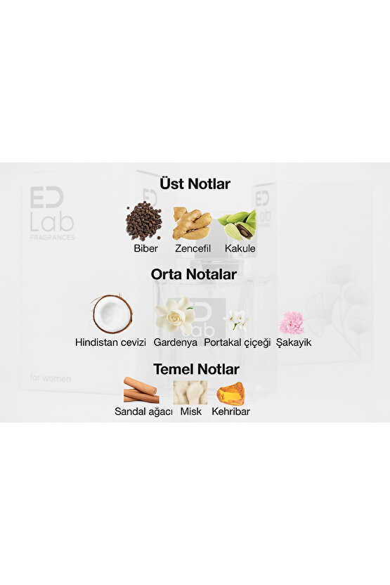 Fragrances EDLW100 Kadın Parfüm 50 ml