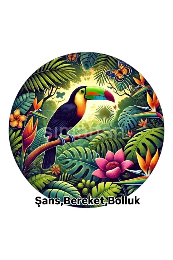 ŞANS GETİRDİĞİNE İNANILAN , UĞURLU TUKAN KUŞU.