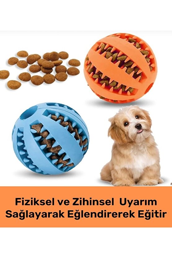 Kedi Köpek Ödül Maması Topu Kauçuk Ödül Oyuncağı