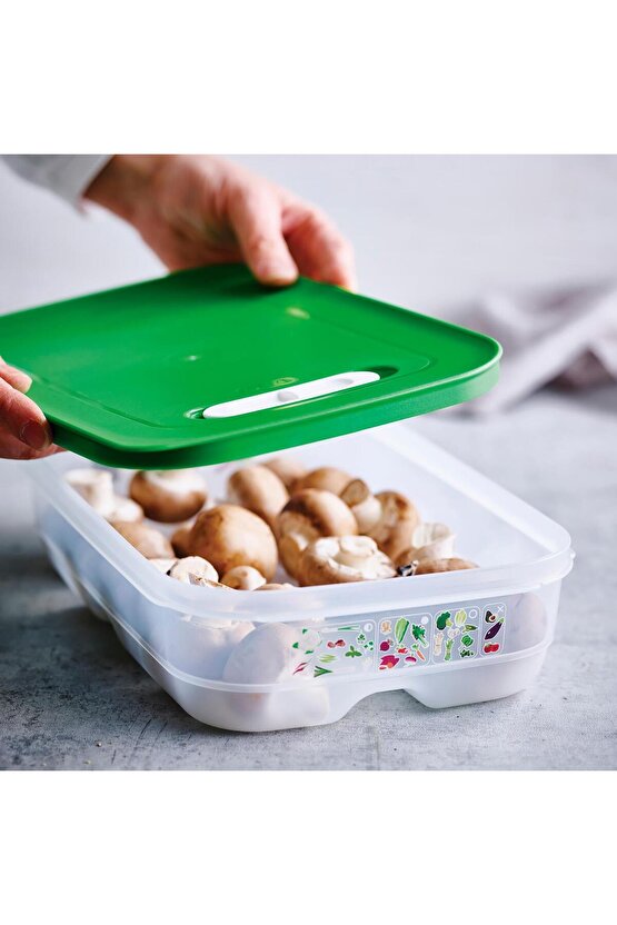 Sera Serisi 2li Gıda Saklama Kabı Yeşil 4.4 Lt Ve 1.8 Lt