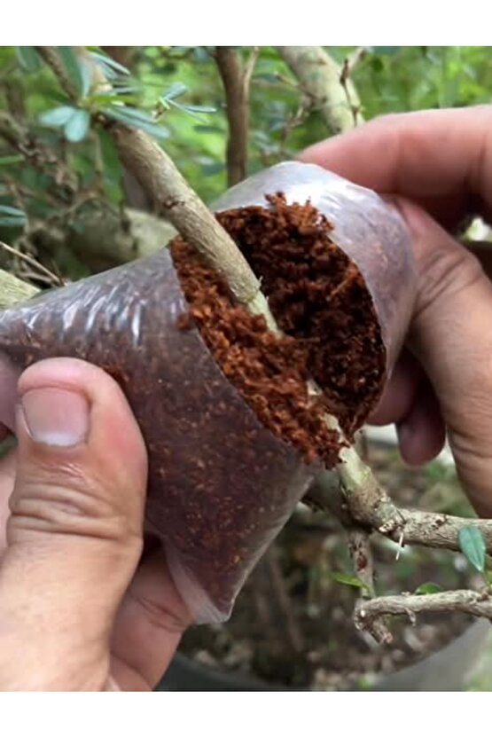 Bitki Çelik Köklendirici Özel Torf