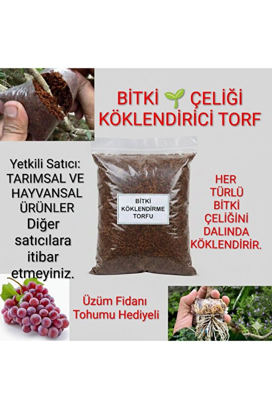 Bitki Çelik Köklendirici Özel Torf