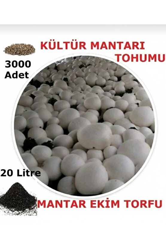 20 Litre Kültür Mantarı Ekim Torfu ve 3000 Adet Kültür Mantarı Tohumu