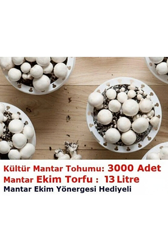 3000 Adet Kültür Mantar Tohumu ve 13 Litre Mantar Ekim Torfu