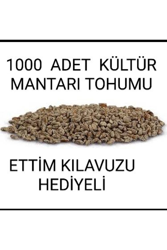 1000 Adet Kültür Mantarı Tohumu