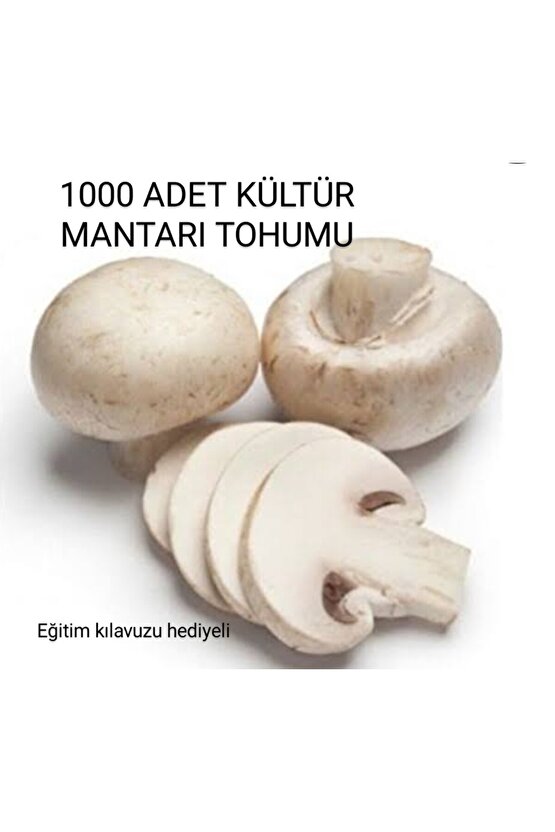 1000 Adet Kültür Mantarı Tohumu + Eğitim Kılavuzu + Hediye