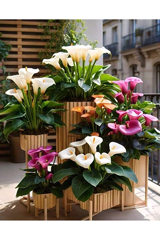 13 LİTRE ÖZEL TORF