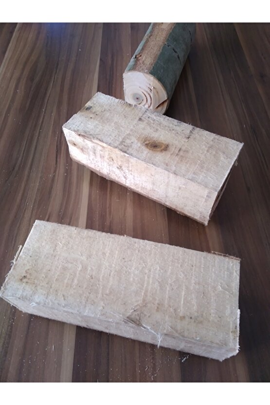 Kütükte İstiridye Mantarı Deneme Hobi Kiti