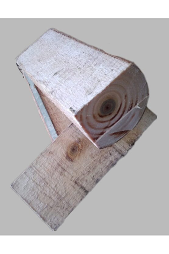 Kütükte İstiridye Mantarı Deneme Hobi Kiti