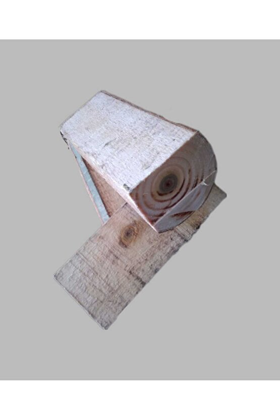 Kavak İstiridye Mantarı Deneme Hobi Kiti