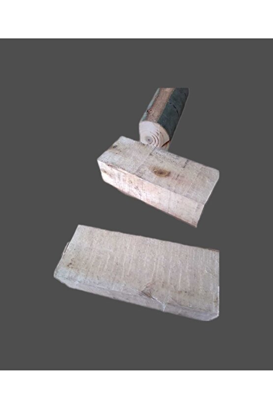 Kavak İstiridye Mantarı Deneme Hobi Kiti