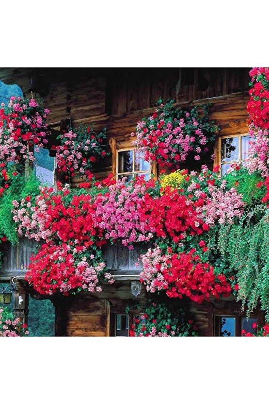 13 LİTRE SULUKENT EKİM VE BAKIM TORFU