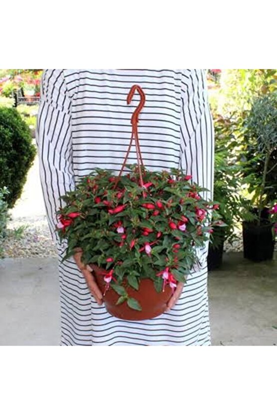 13 Litre Küpeli Çiçeği Ekim ve Bakım Torfu