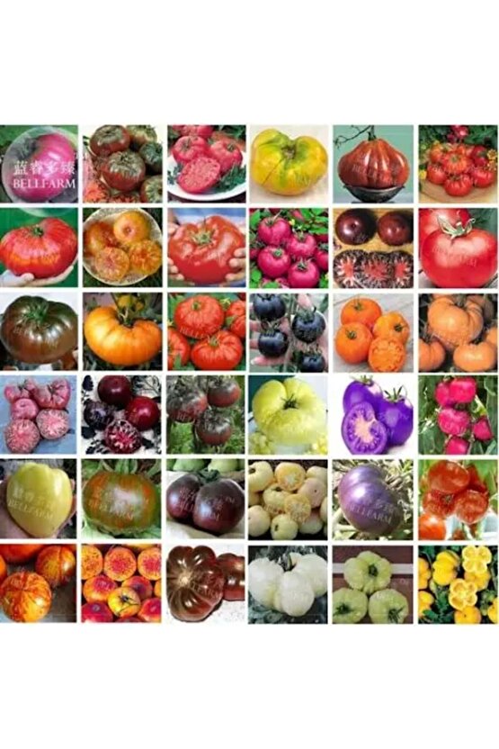 25 Adet Karışık Cinste Domates Tohumu