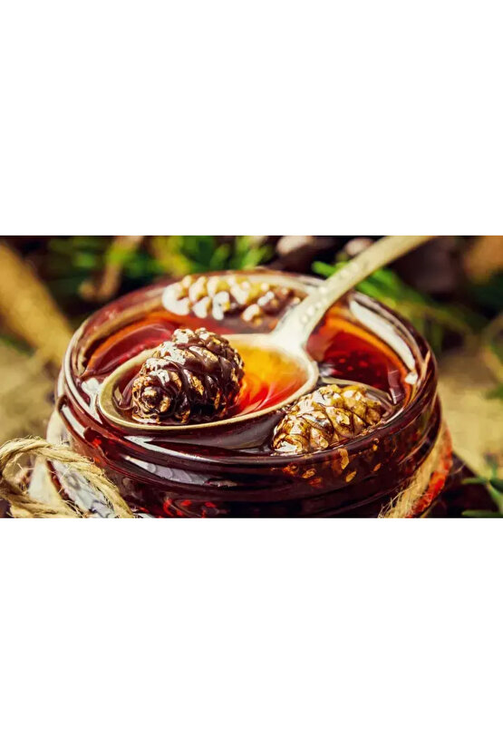 Çam Kozalak Pekmez Yapma Toprağı